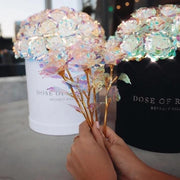 GALAXY ROSE