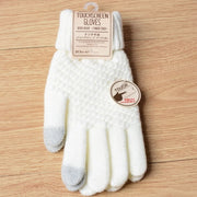 WINTER WARM TOUCH SCREEN GLOVES